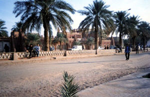 rue principale de Timimoun